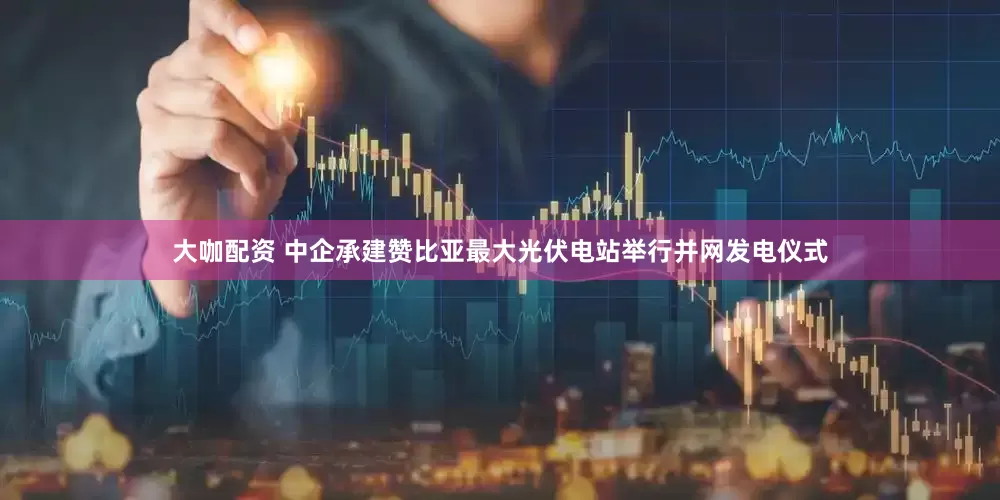 大咖配资 中企承建赞比亚最大光伏电站举行并网发电仪式